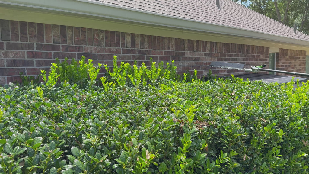 EGO Hedge Trimmer Sweep Attachment | HTA2020 | Snap-On