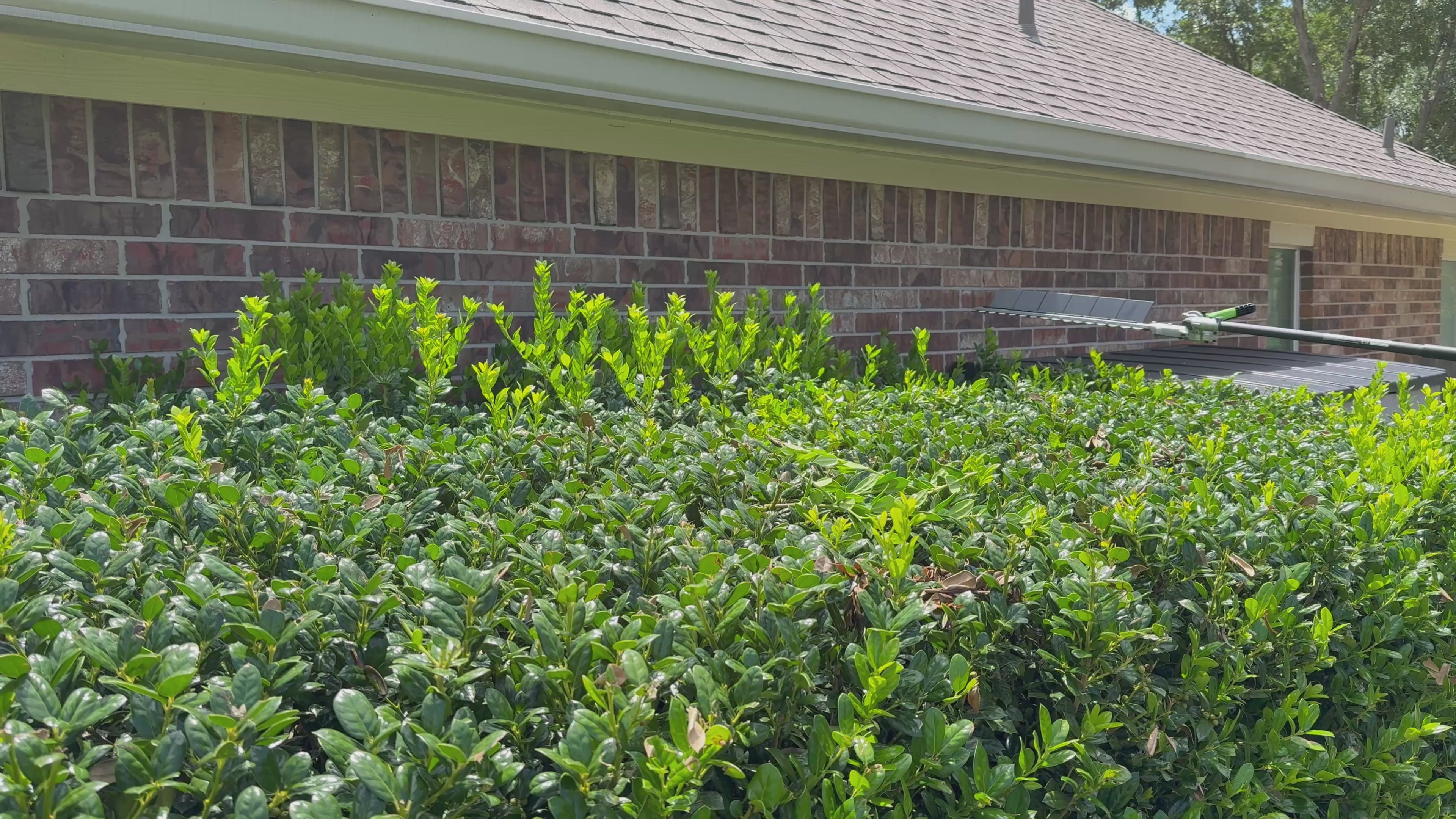 EGO Hedge Trimmer Sweep Attachment | HTA2020 | Snap-On